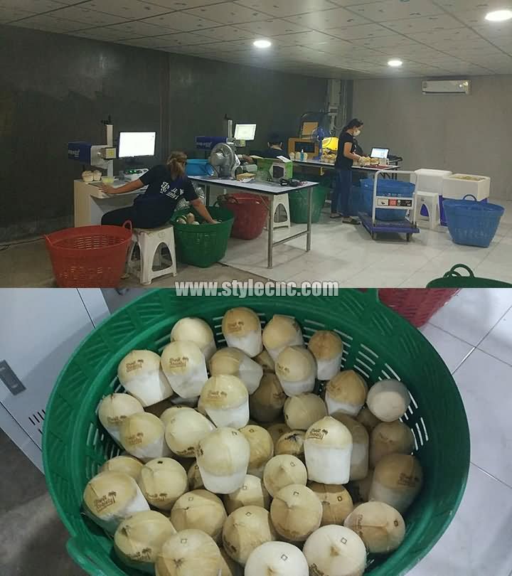 椰子激光雕刻機(jī)