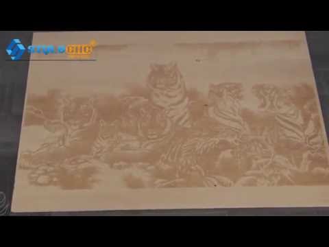 工業 CO2 木版印刷激光打標機